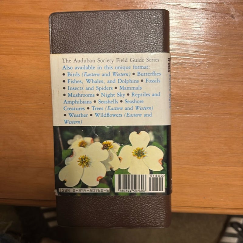 National Audubon Society Field Guide to North American Trees--E