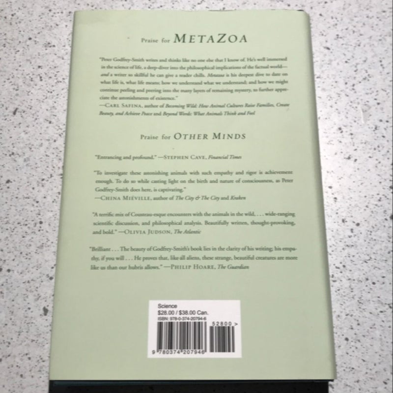 Metazoa
