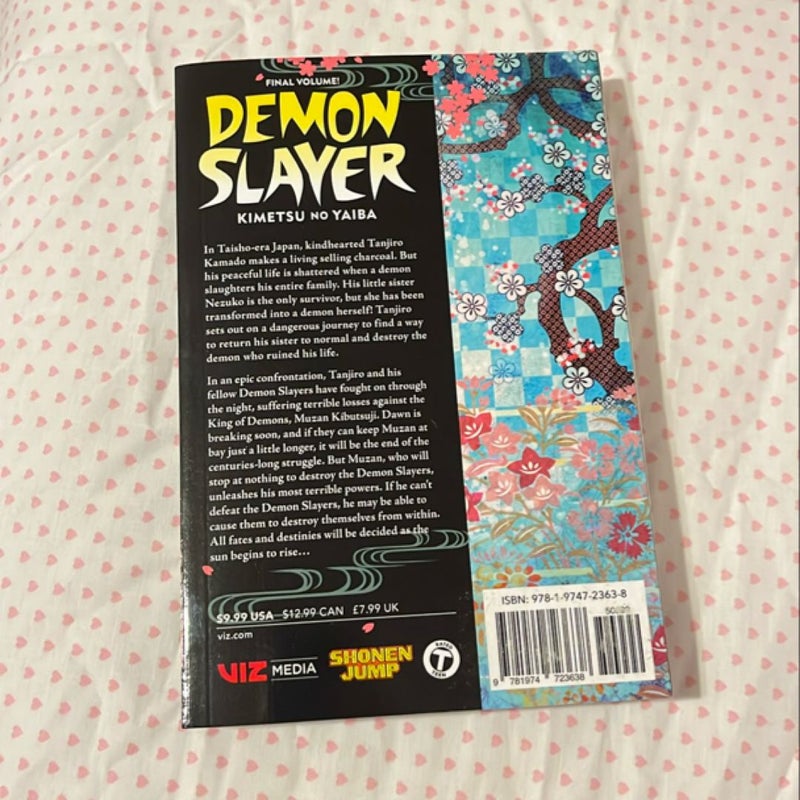 Demon Slayer: Kimetsu No Yaiba, Vol. 23