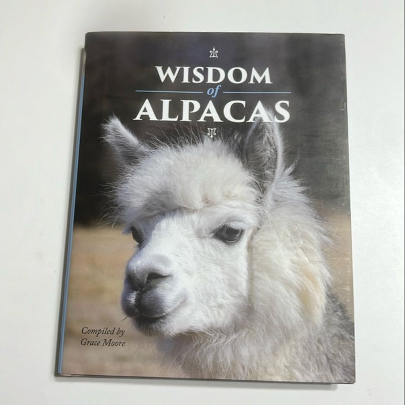 Wisdom of Alpacas