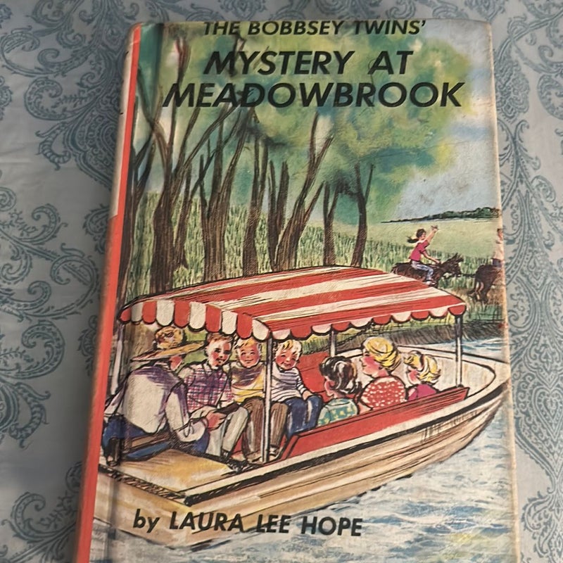 The Mystery at Meadowbrook