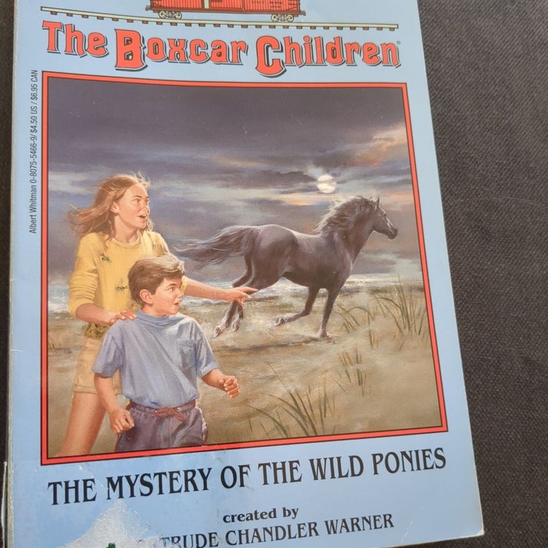 The Mystery of the Wild Ponies