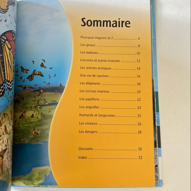 Animaux migrateur