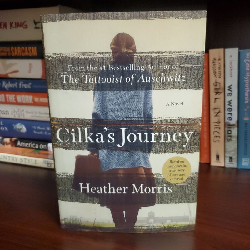 Cilka's Journey