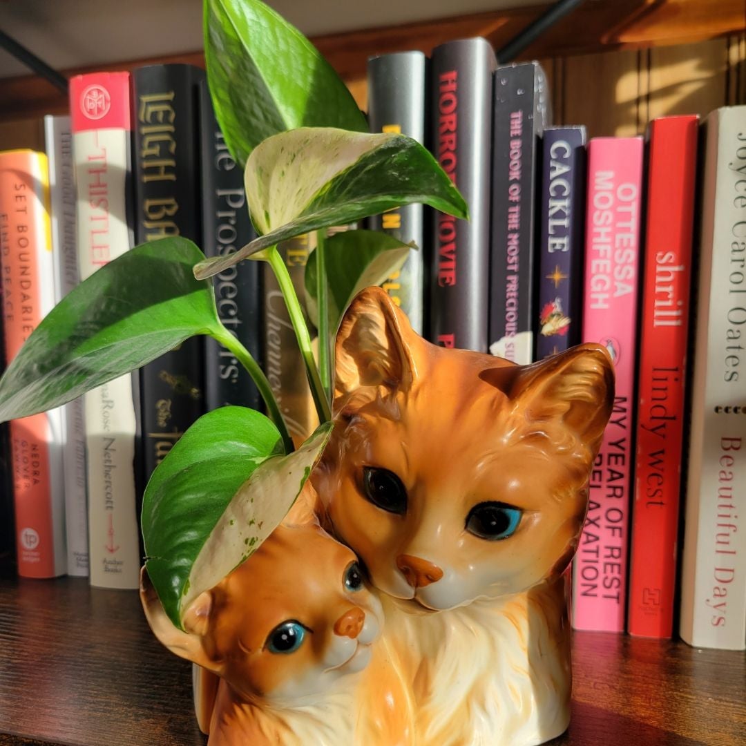 CoffeeClutchingCatLady