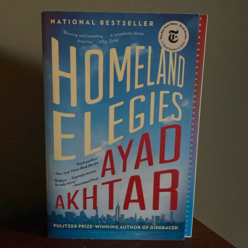 Homeland Elegies (new)