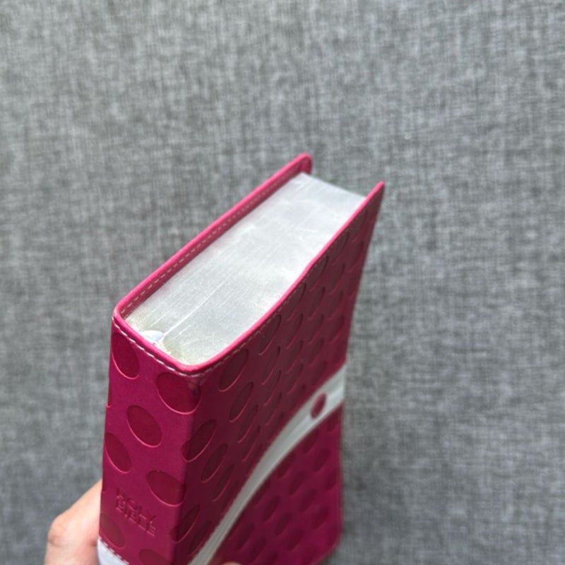 NIV Bible