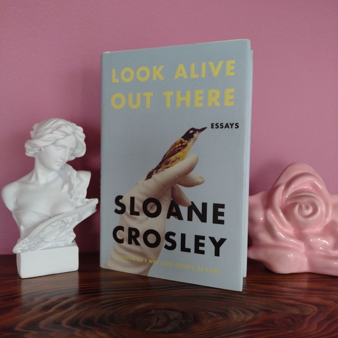 Look Alive Out There