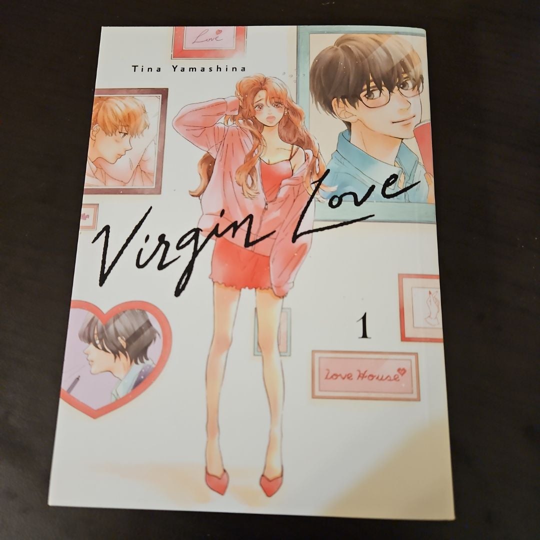 Virgin Love 1