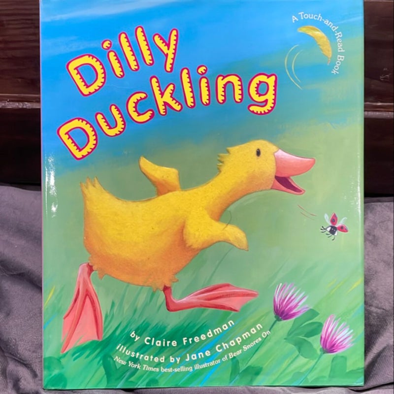 Dilly Duckling