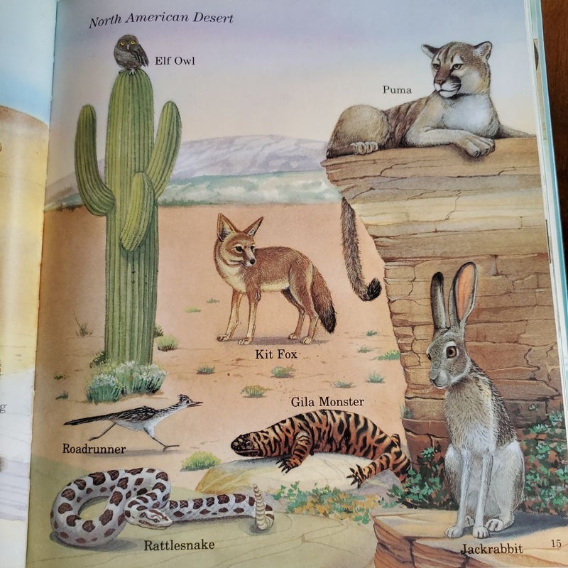 My First Book of Animals from A to Z