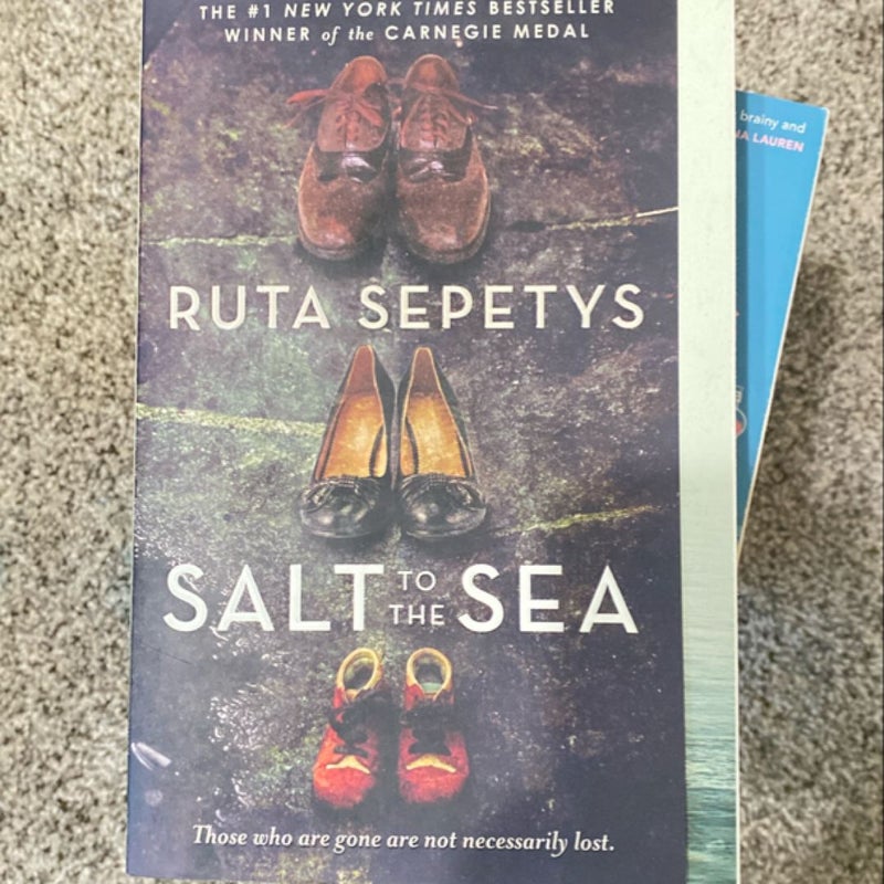 Salt to the Sea
