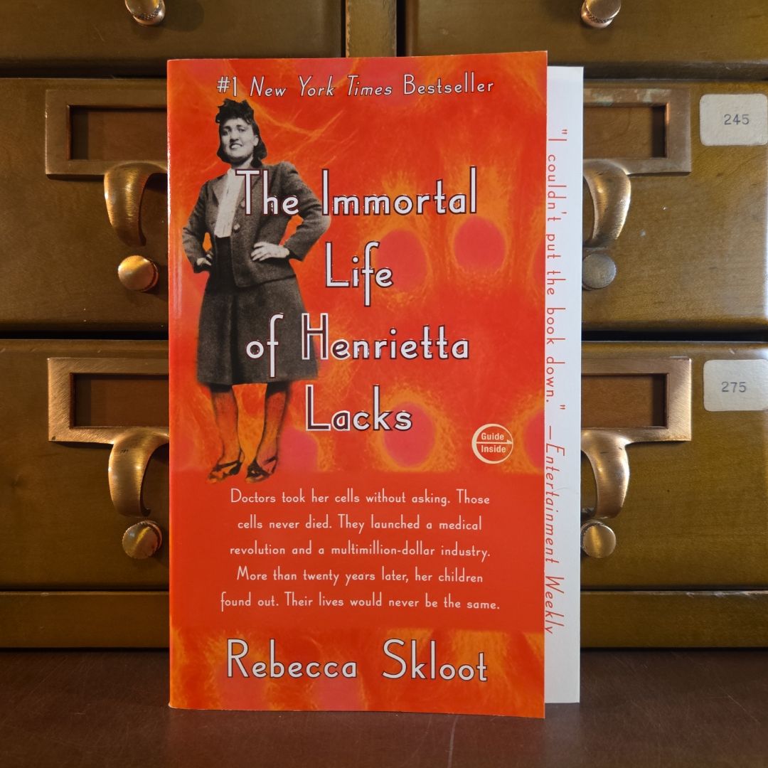 Sale image for 0b49ad79-678c-4c8f-873d-9b5a479fa9ef-2NuxQSg3jgUDbwa8PfNVsAdIHeO2