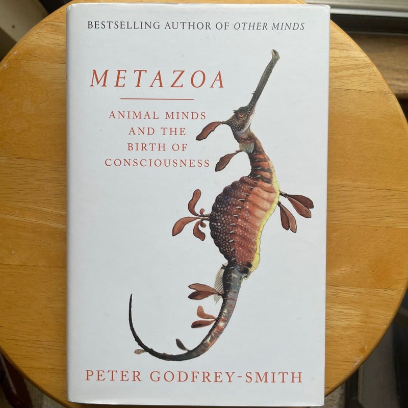 Metazoa