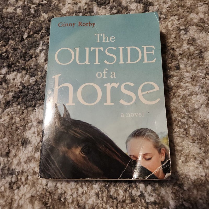 The Outside of a Horse