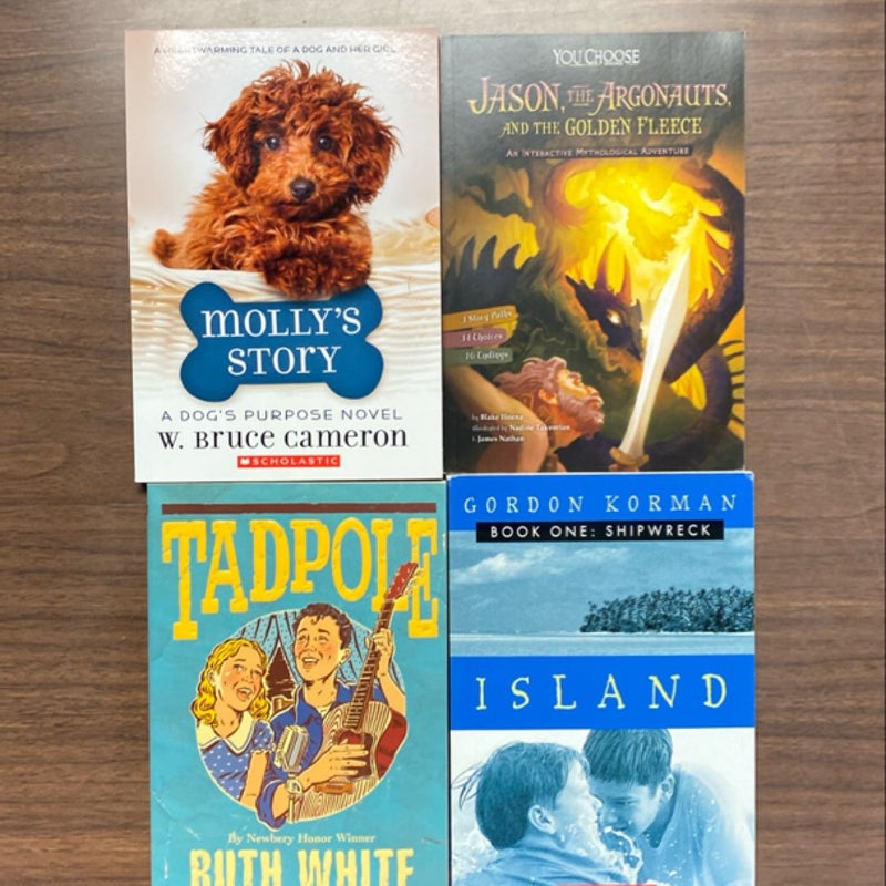 Classroom Library Bundle #1 - 24 Books