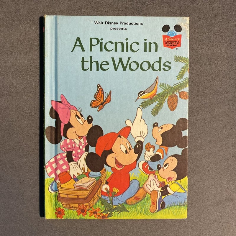 A Picnic In The Woods