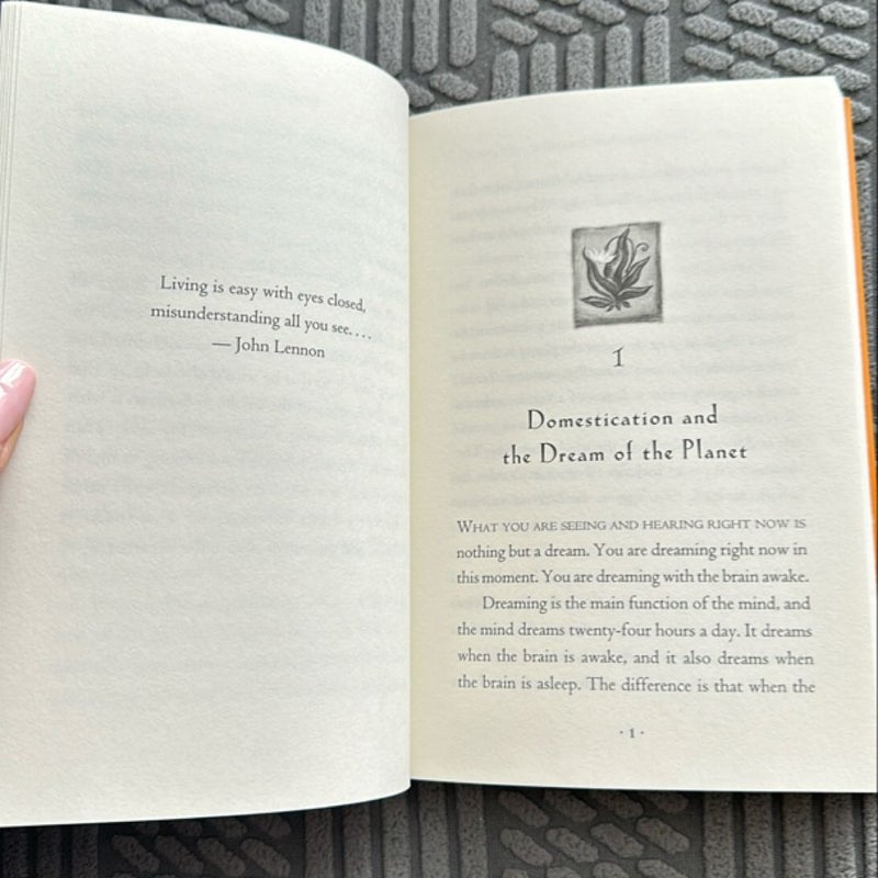 The Four Agreements