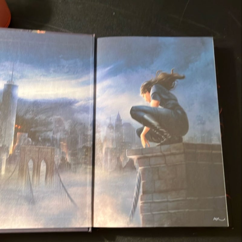 The Wren in the Holly Library (Deluxe Limited Edition)