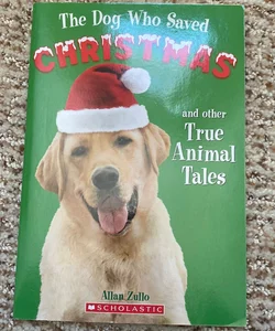 the dog who saved christmas 