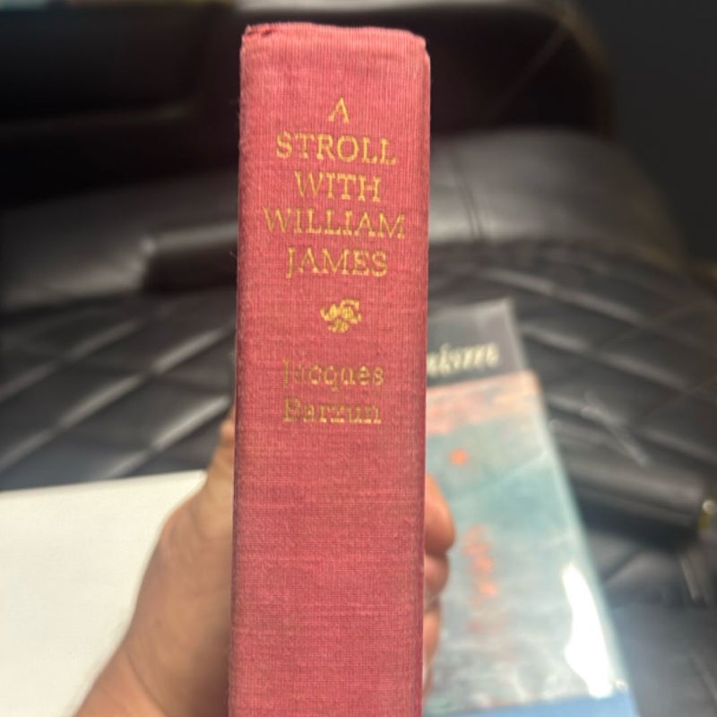 A Stroll with William James