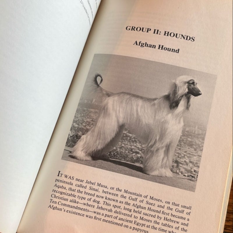 The Complete Dog Book American Kennel Club
