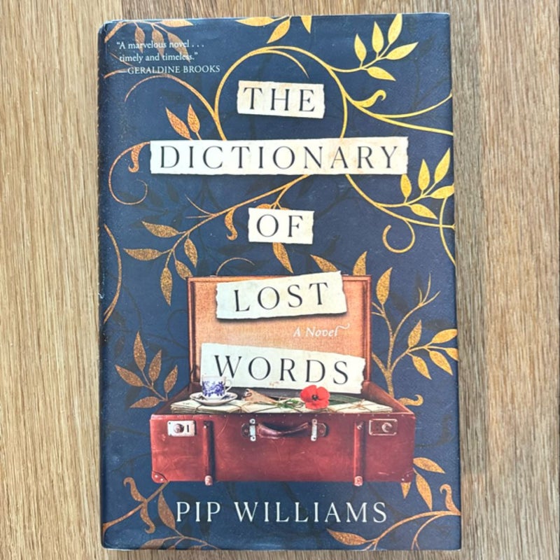 The Dictionary of Lost Words