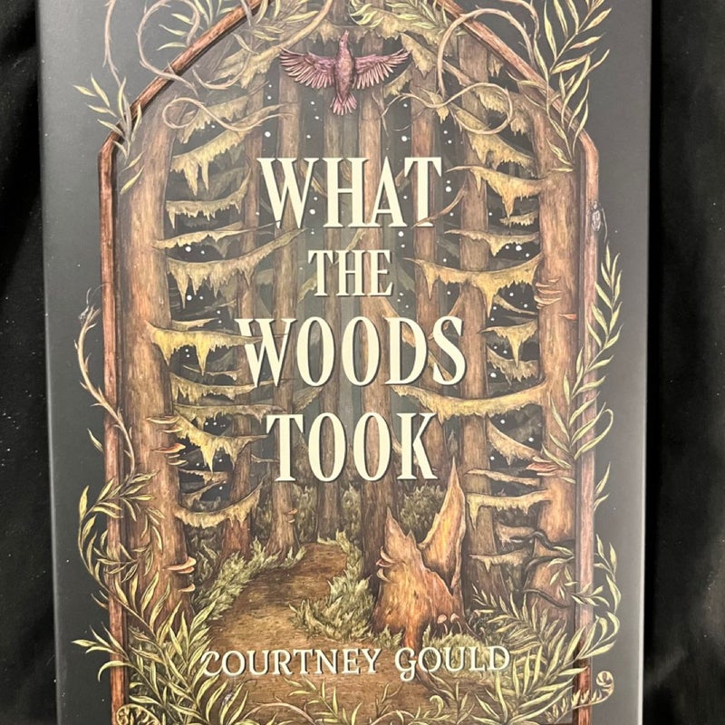 What the Woods Took