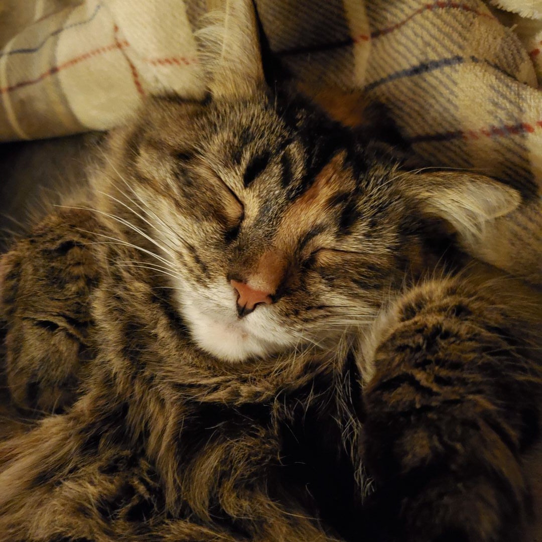 Sammy