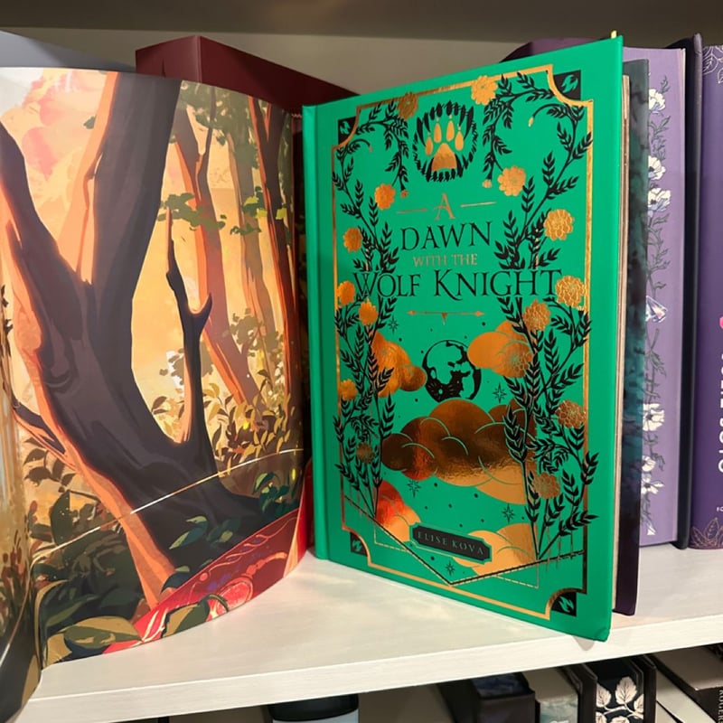 A Dawn with the Wolf Knight