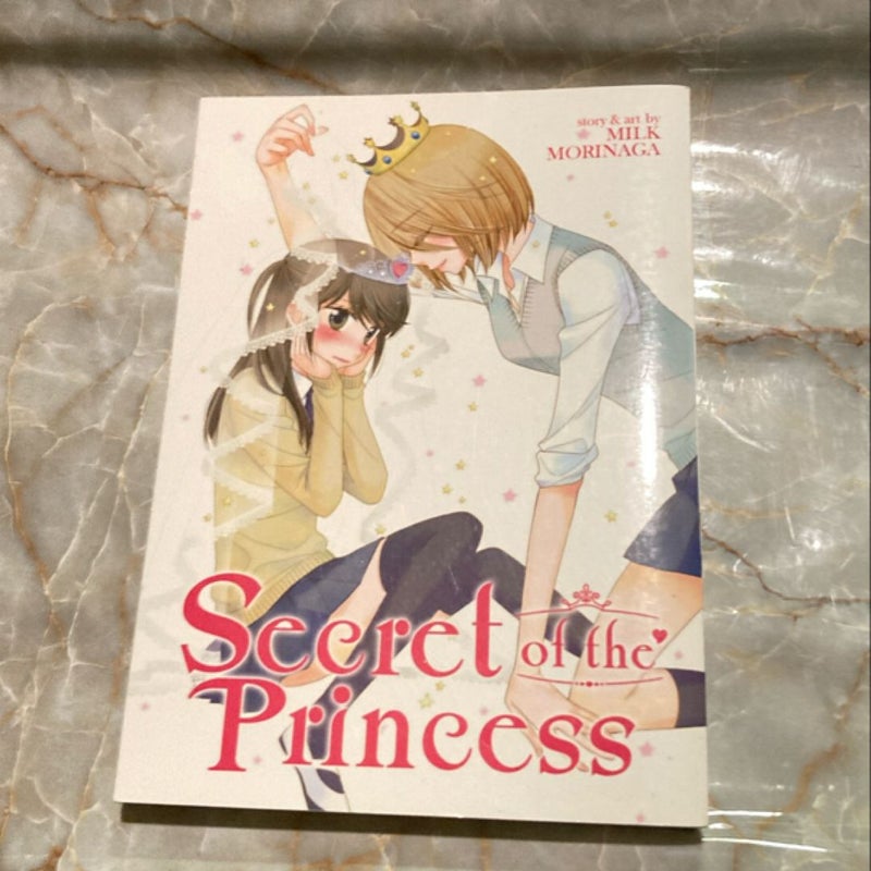 Secret of the Princess