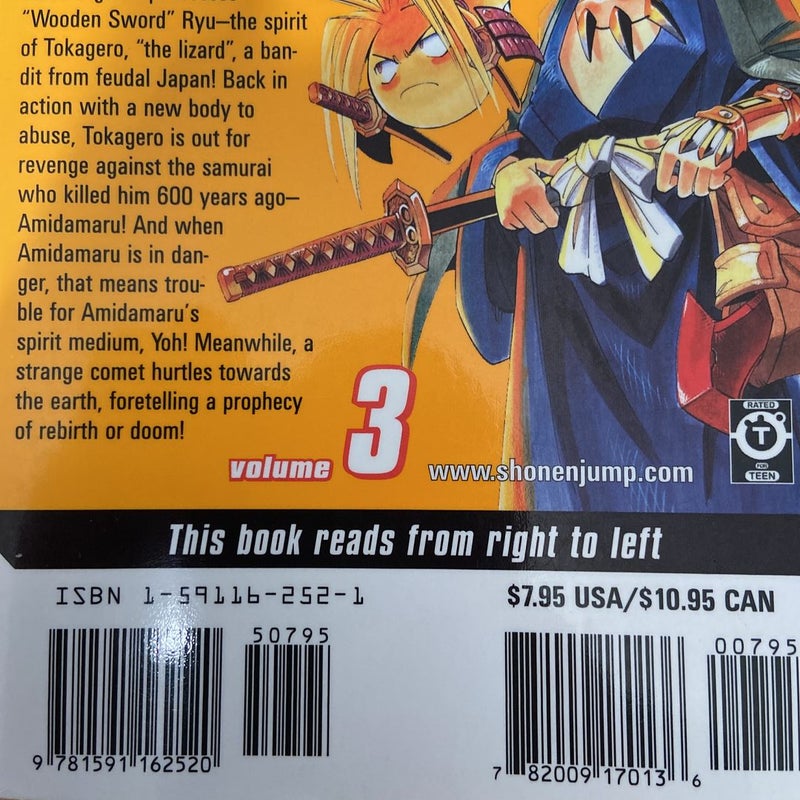 Shaman King, Vol. 3