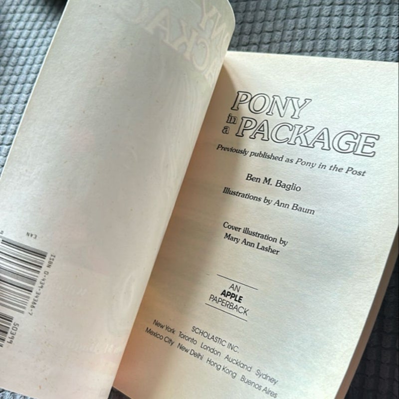 Animal Ark #27: Pony in a Package