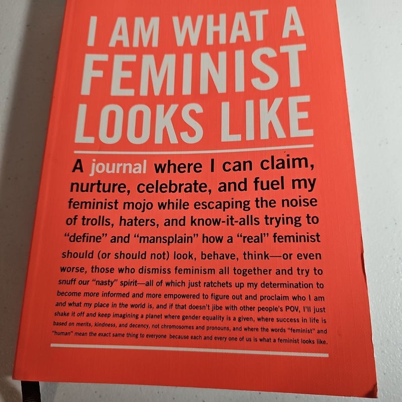 I am what a Feminist looks like