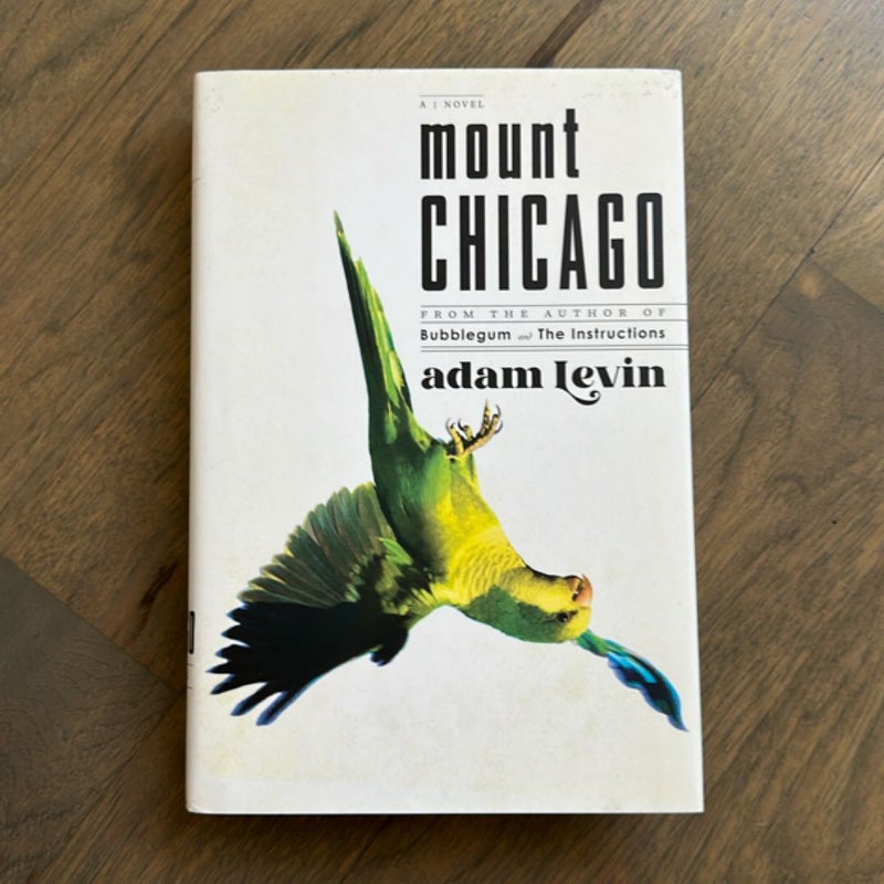 Mount Chicago