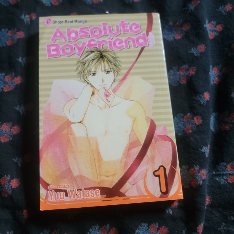 Absolute Boyfriend, Vol. 1