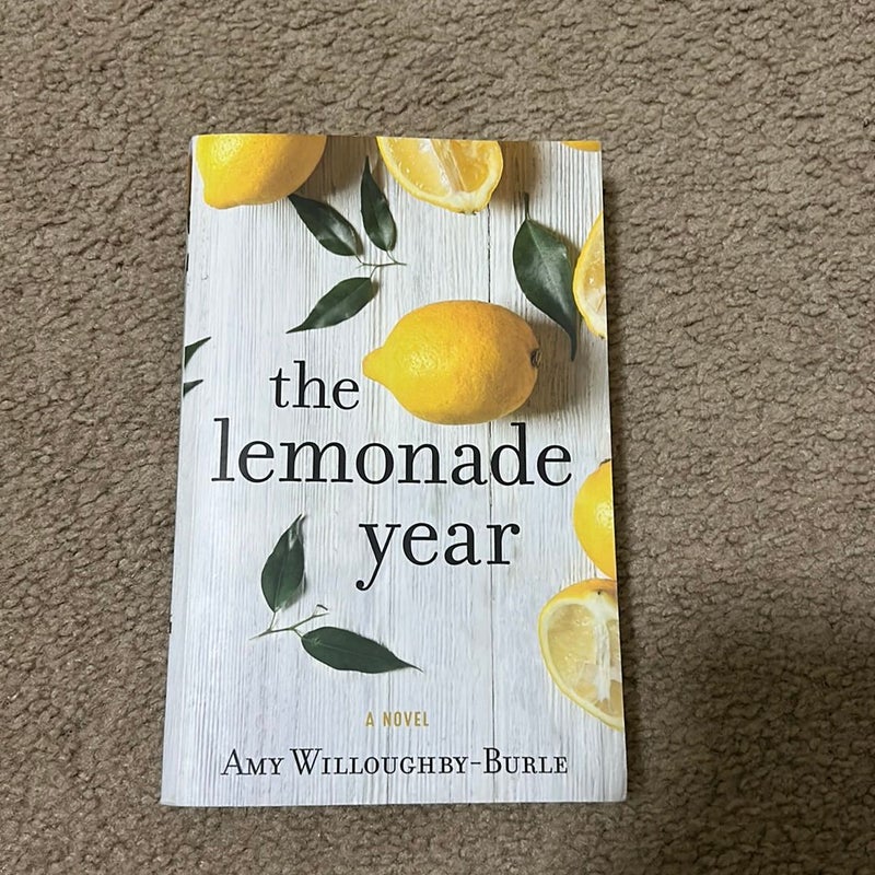 The Lemonade Year