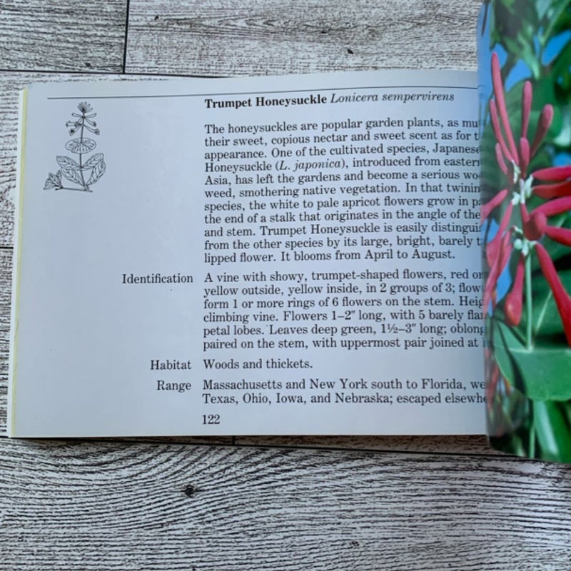National Audubon Society Pocket Guide to Familiar Flowers