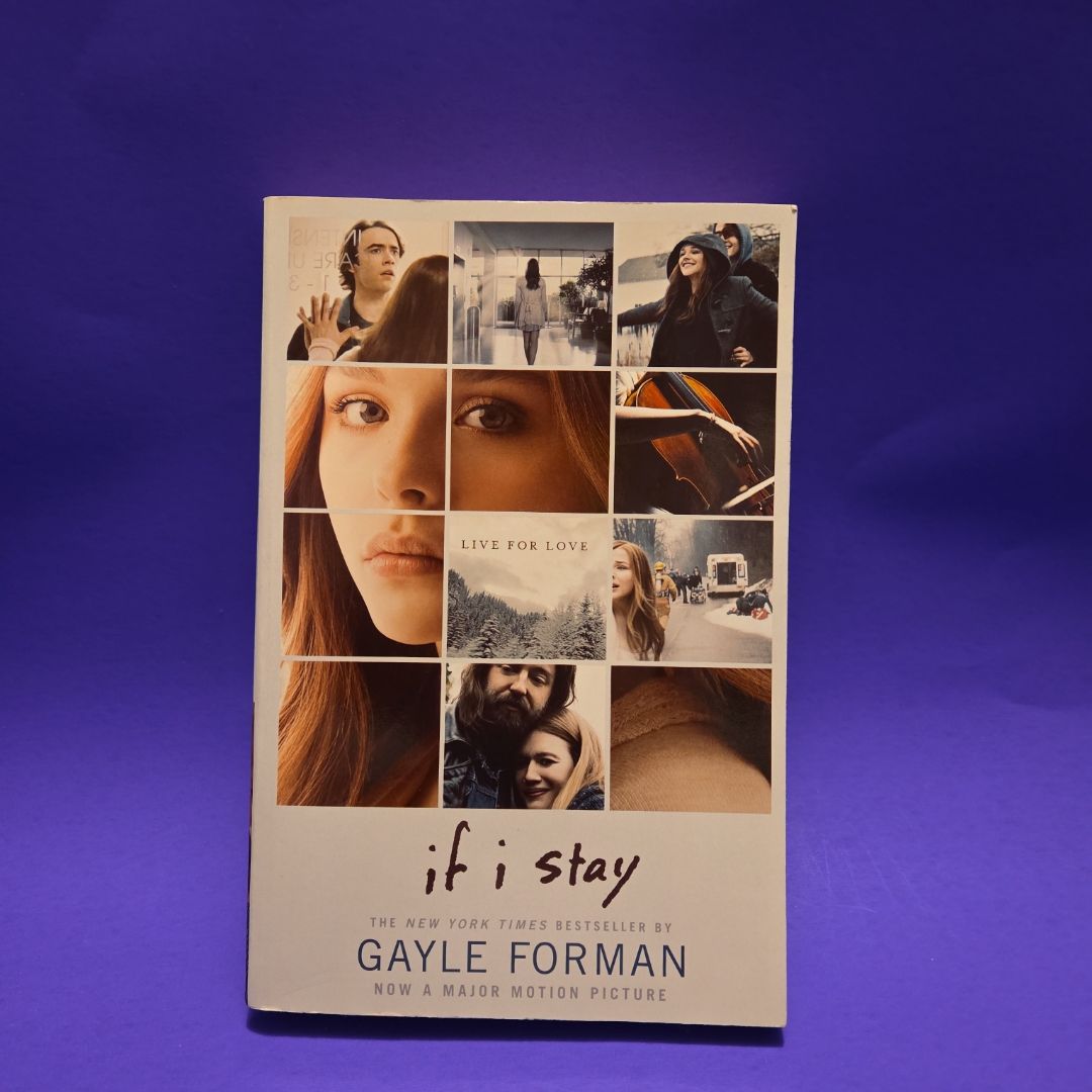 Sale image for b8dce01b-c841-4682-933d-246d94e46a09-CeglVjNYNafpVSTgOGBqIJWw7pY2