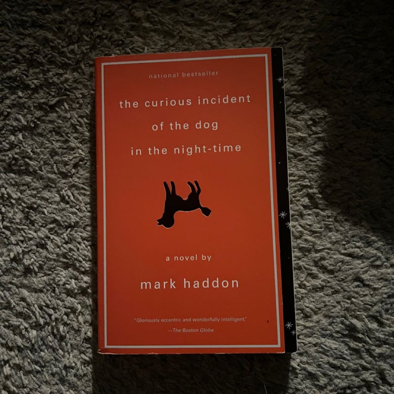 The Curious Incident of the Dog in the Night-Time