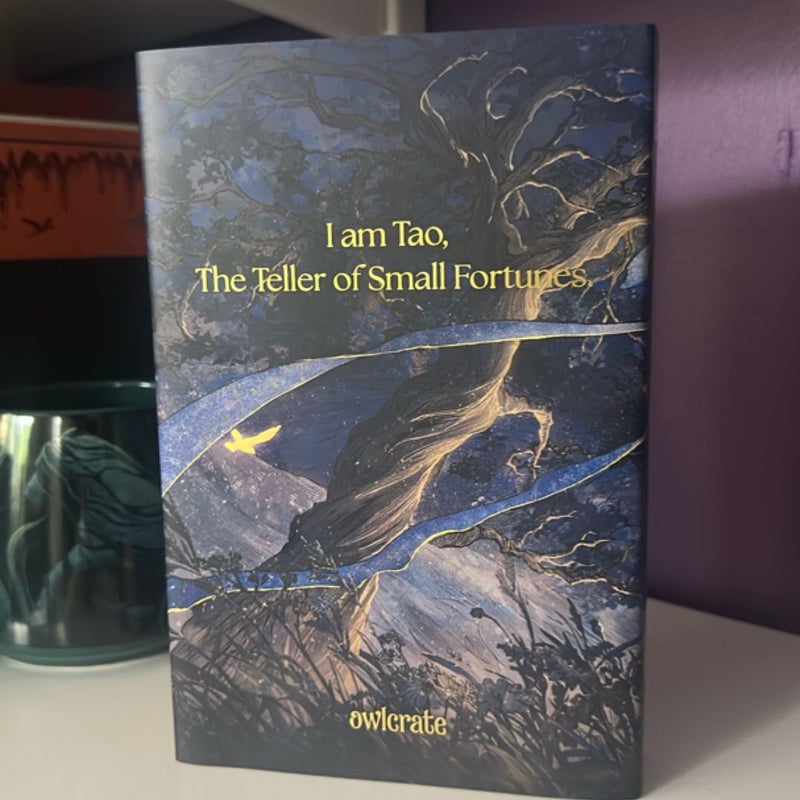 The Teller of Small Fortunes