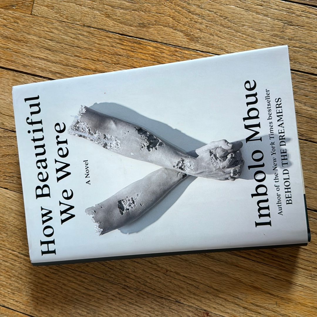 How Beautiful We Were