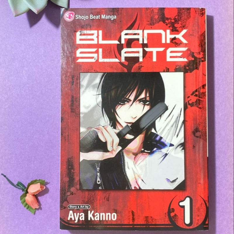 Blank Slate, Vol. 1