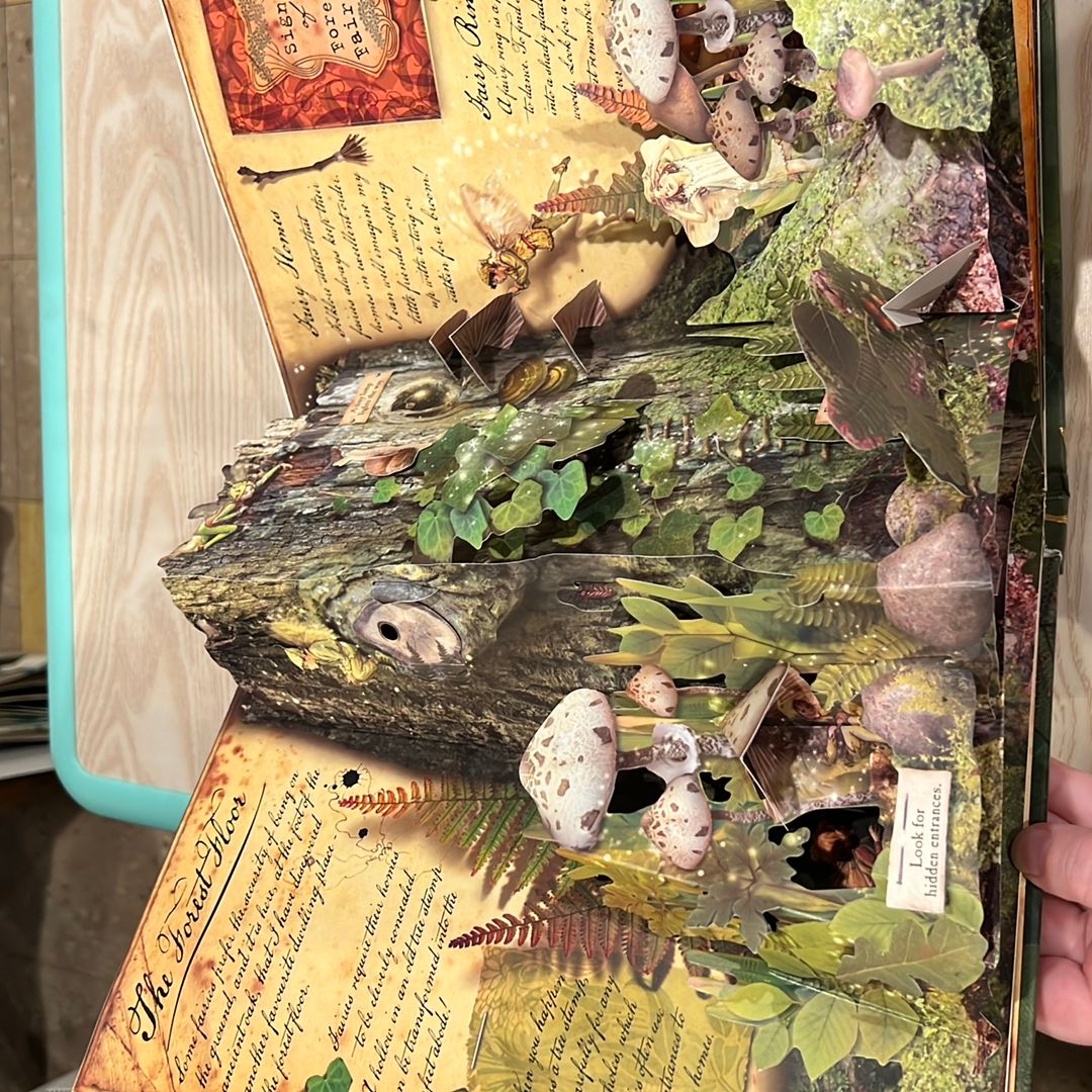 How to Find Flower Fairies by Cicely Mary Barker, Hardcover