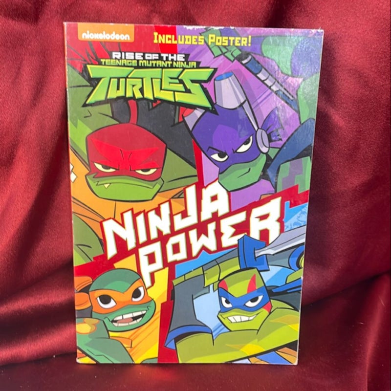 Ninja Power (Rise of the Teenage Mutant Ninja Turtles #1)