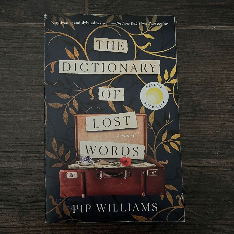 The Dictionary of Lost Words