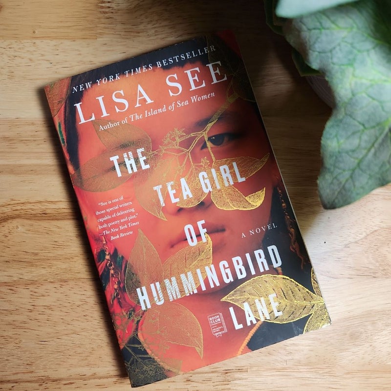 The Tea Girl of Hummingbird Lane