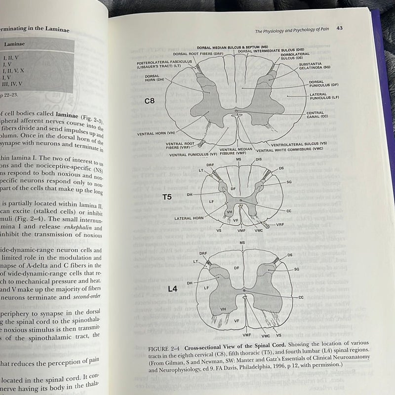 Therapeutic Modalities