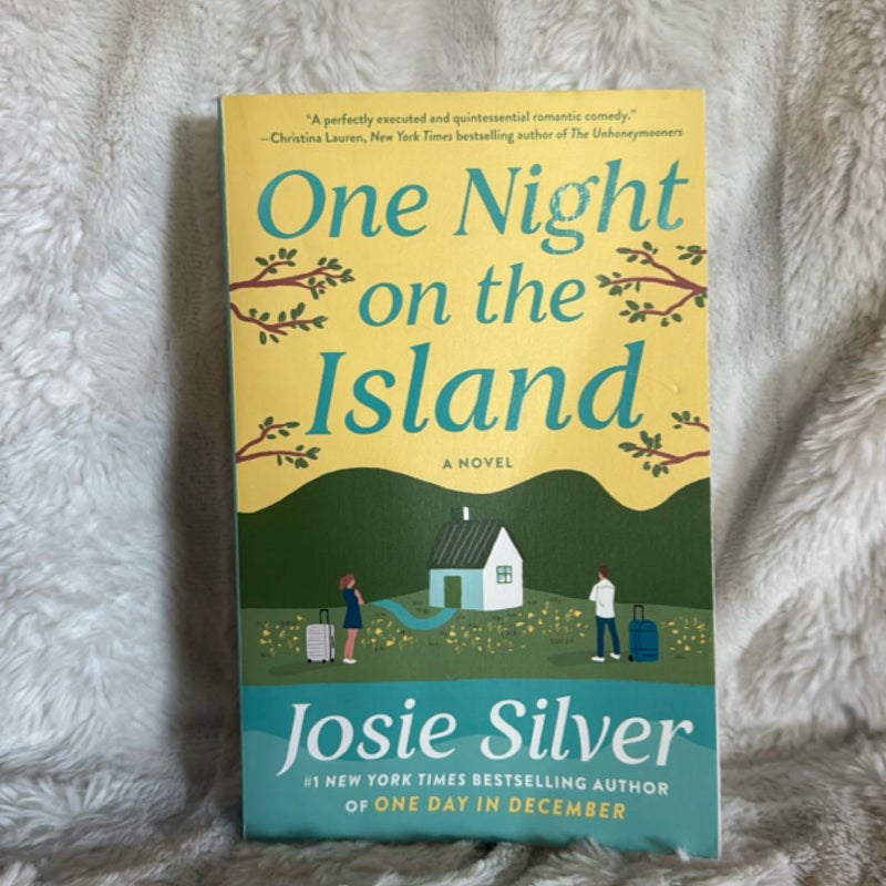 One Night on the Island