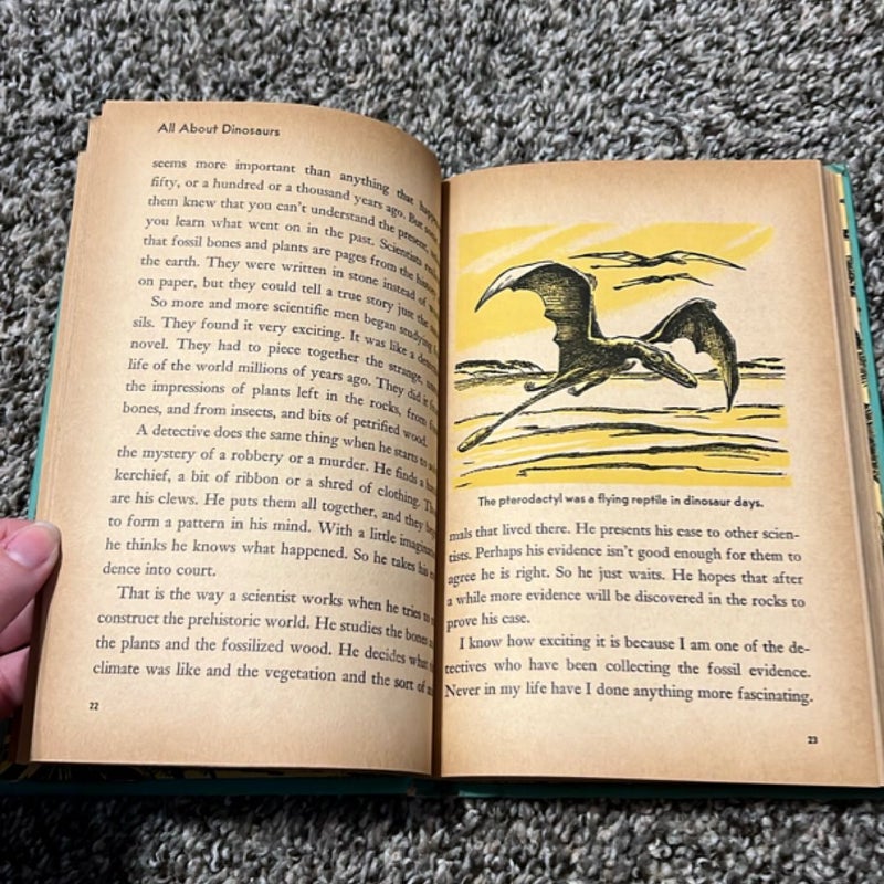 All About Dinosaurs